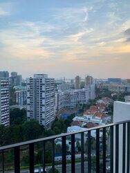 the-clement-canopy photo thumbnail #18